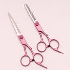 Hairdressing Shears & Thinning Set