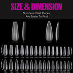 Matte Coffin & Stiletto Tips — 240 Piece