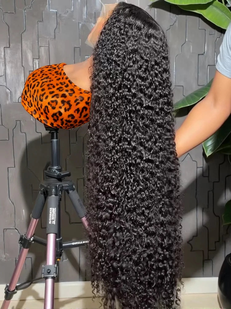 Water Wave Lace Front Wig — 300% Density